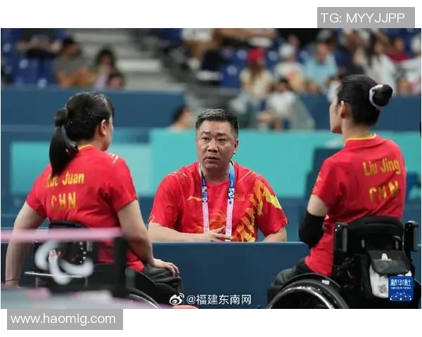 对话刘静：回顾乒乓球生涯的辉煌与挑战分享