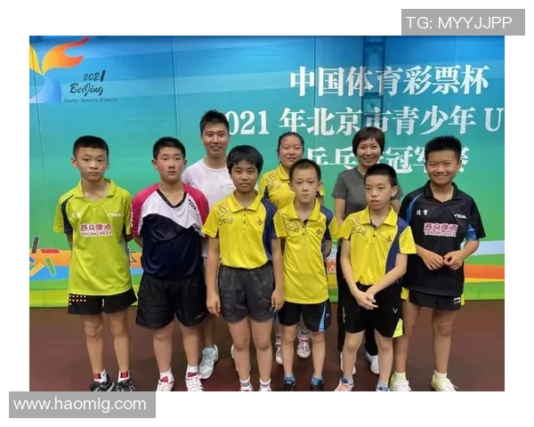 深圳乒乓球队的运营模式与发展策略深度解析