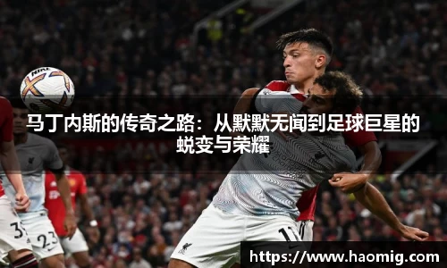 欧陆app