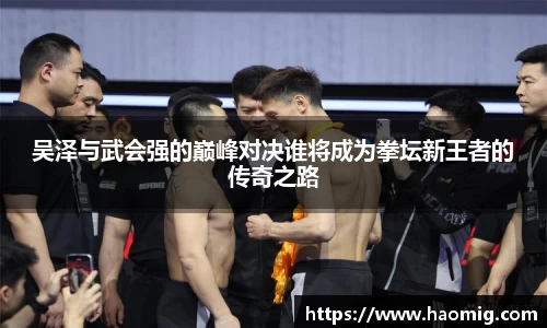 吴泽与武会强的巅峰对决谁将成为拳坛新王者的传奇之路